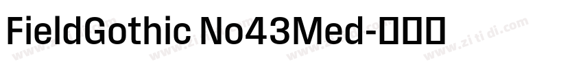 FieldGothic No43Med字体转换